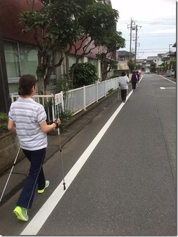 道路の白線の内側を参加者達が並んでポールをつきながら歩いている写真